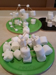 Marshmallow Toothpick Building