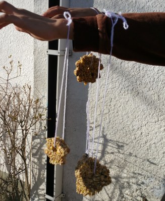bird seed ornaments