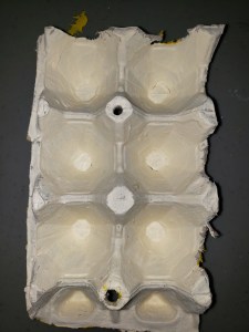 egg carton boat